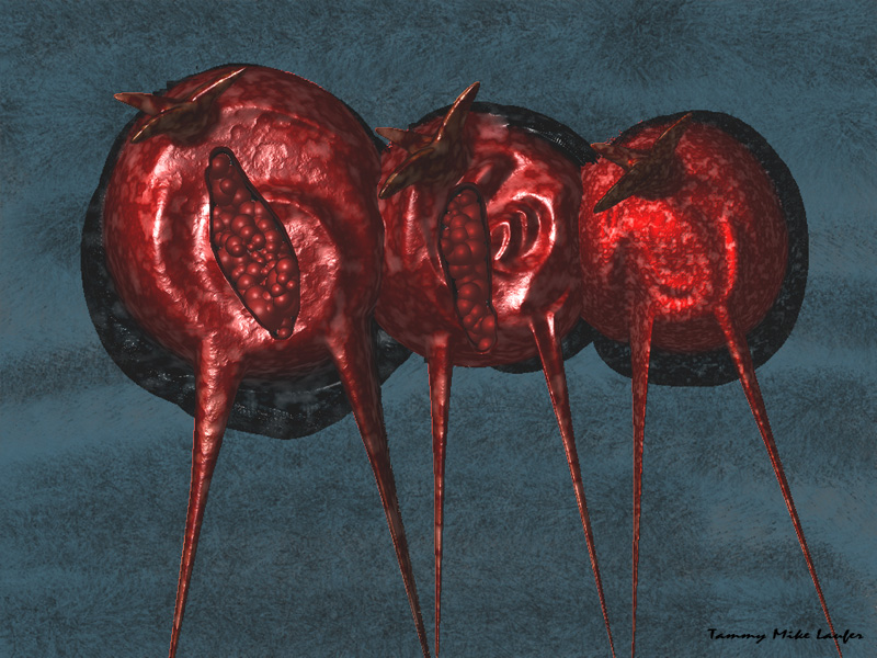 Tammy Mike Laufer, digital artwork #8 of 12 — Museum of Computer Art