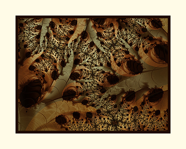 Image #10 of 12: 