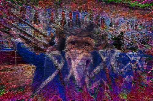 Image #7 of 12: 