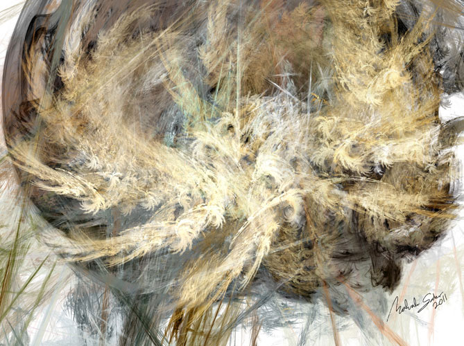 Image #7 of 12: 