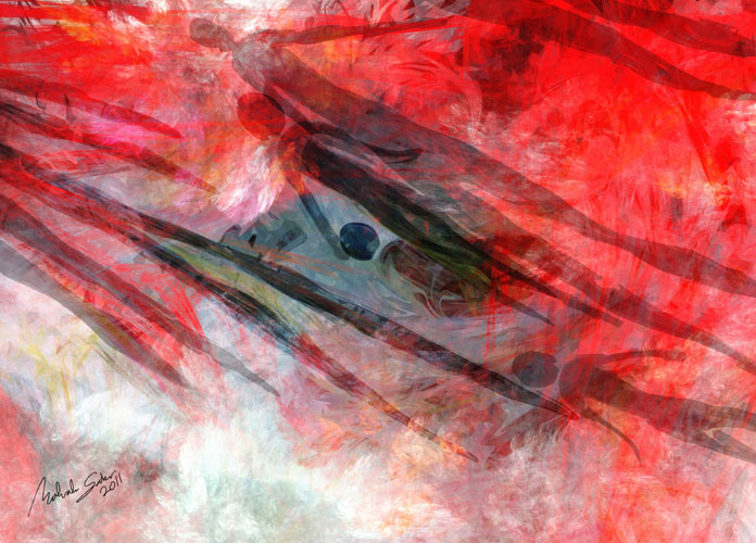 Image #8 of 12: 