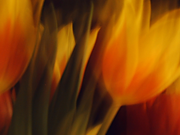 Image #4 of 12: 