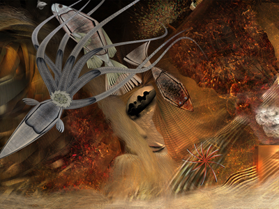 Image #2 of 12: 