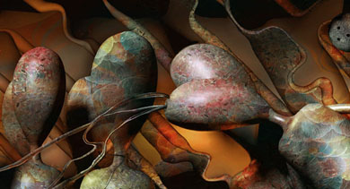 Image #5 of 12: 