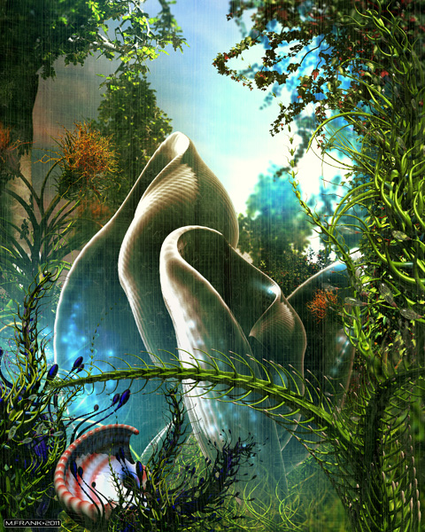 Image #11 of 12: 