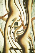 David-Michael Baldwin, digital artwork #1 of 12 — Museum of Computer Art