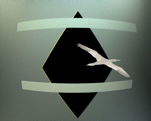Image #2 of 12: 