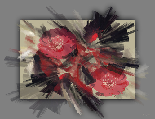 Image #4 of 12: 
