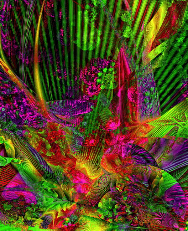 Image #11 of 12: 