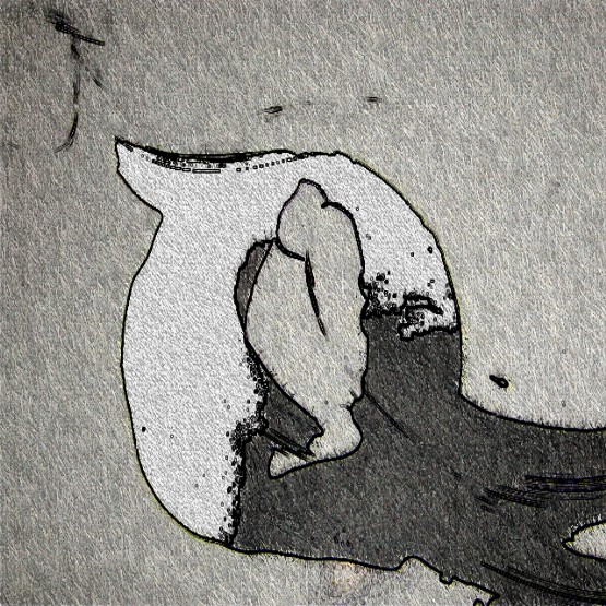 Image #1 of 12: 