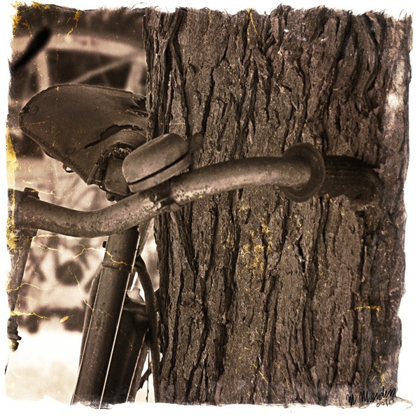 Image #8 of 12: 