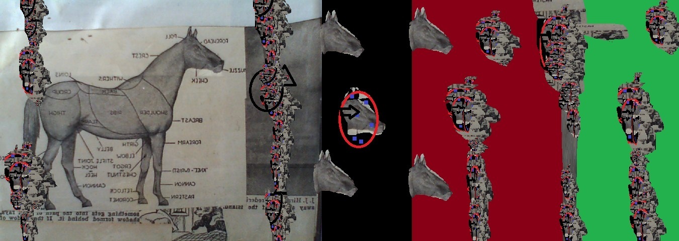 Image #12 of 12: 